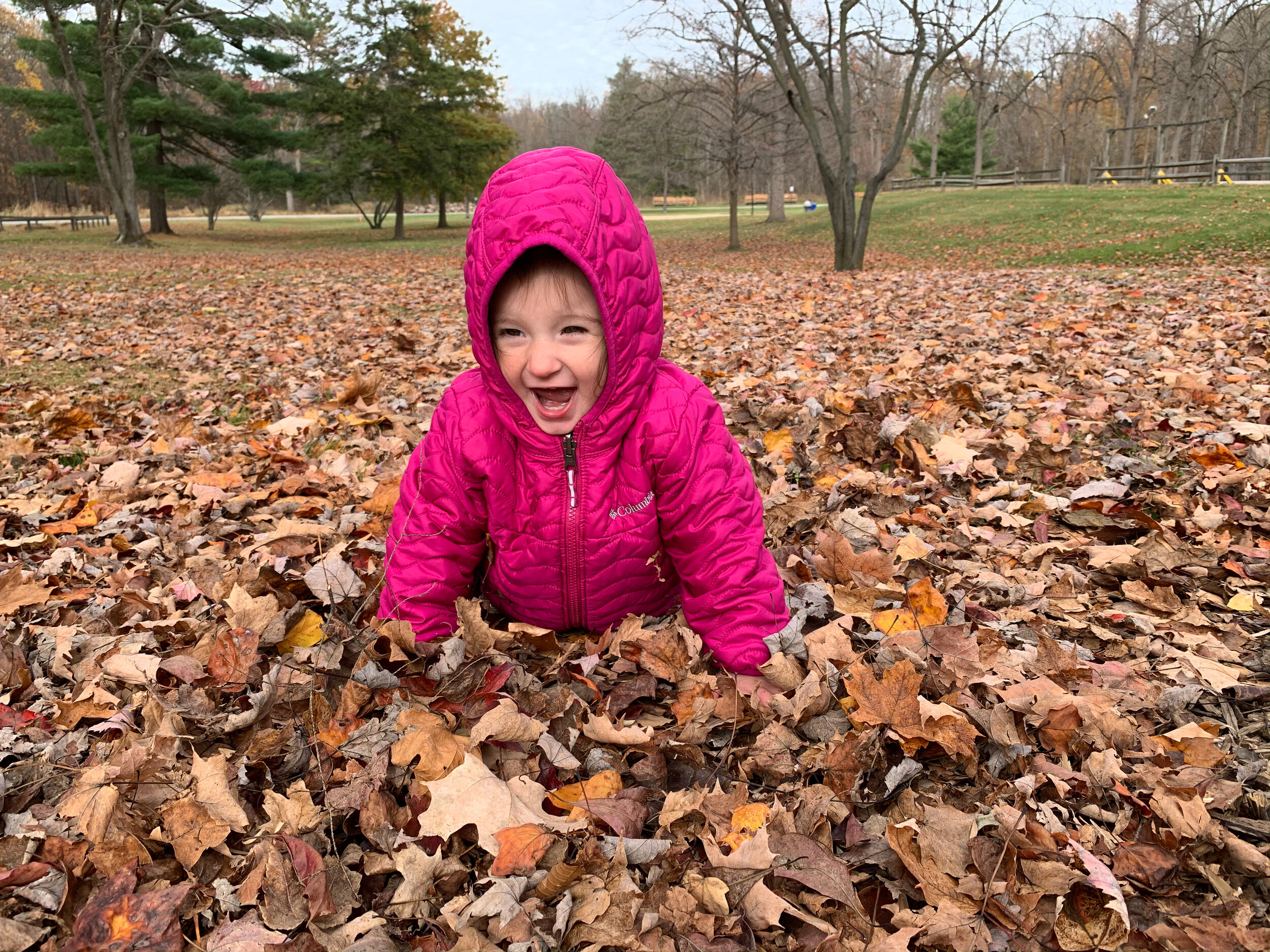 little girl laying in a pile of fall leaves in a pink jacket yelling