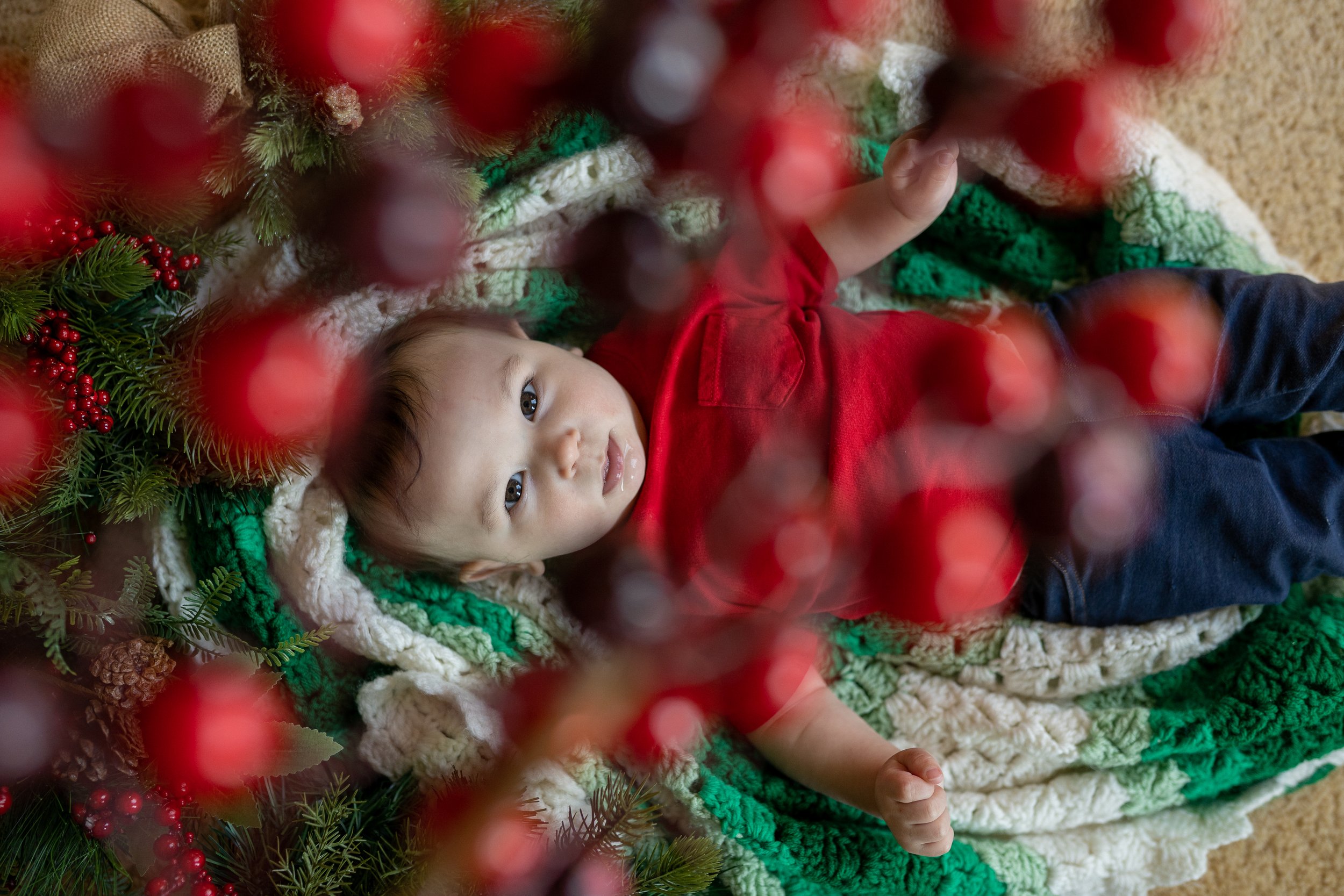 little boy on a white and green blanket staring up through a bush of cranberries