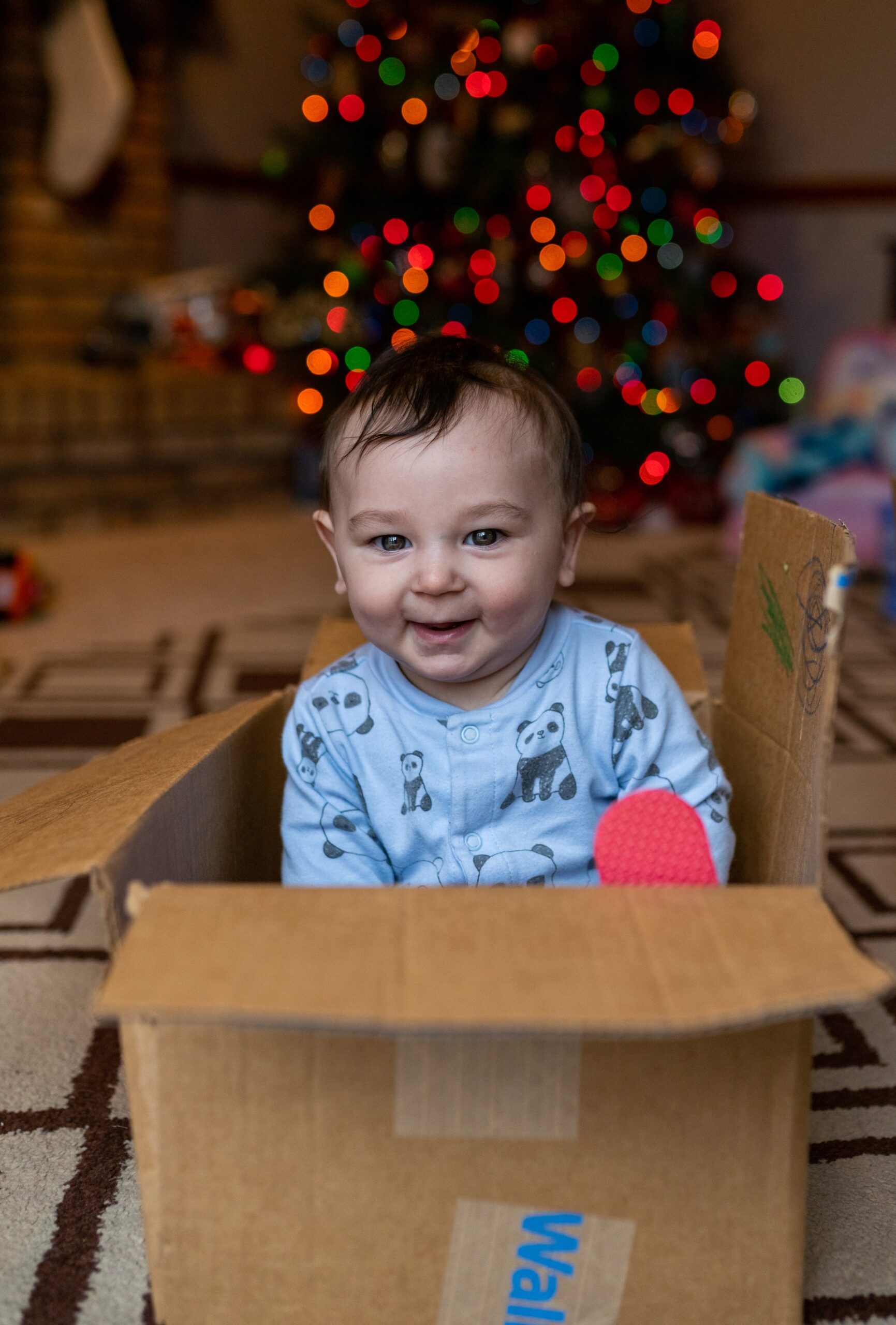little boy in blue panda pajamas sitting in a box smiling at the camera with a lit christmas tree behind him 