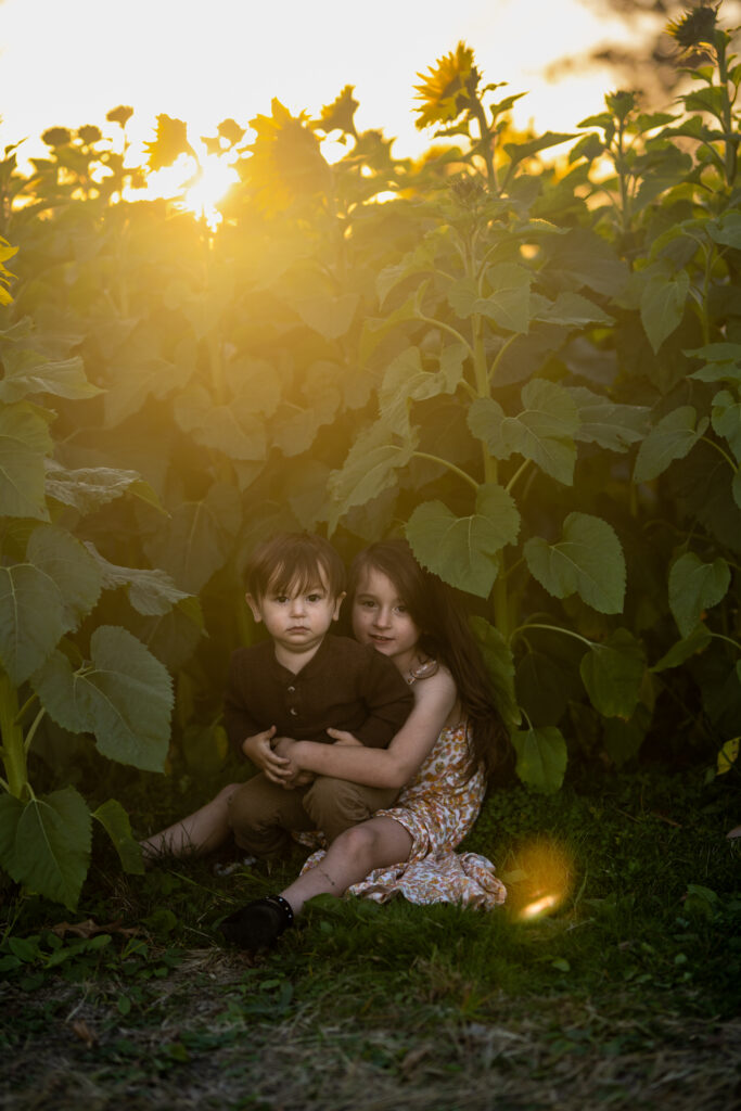 little girl and boy sitting in the sunflowers at the field in Avon, Ohio at sunset 