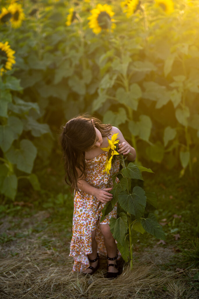 a girl smelling a sunflower at Maria's Field of Hope in Avon, Ohio as the sun sets behind her