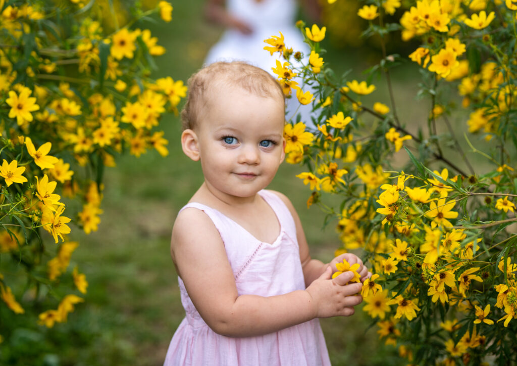 little girl with beautiful blue eyes smiling at camera and touching a flower while standing in a field full of yellow flowers 
