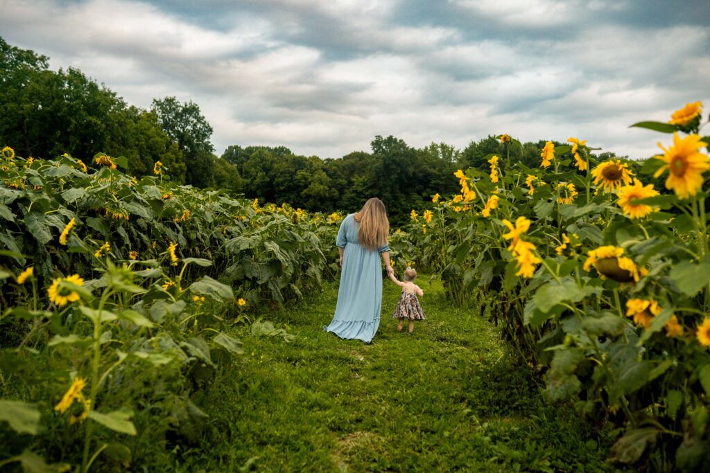 mom holding daughters hand and walking away from the camera into a field of sunflowers in medina ohio 